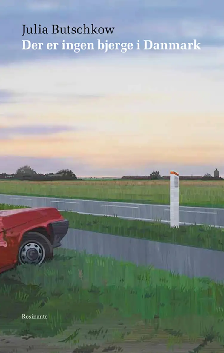 Der er ingen bjerge i Danmark af Julia Butschkow