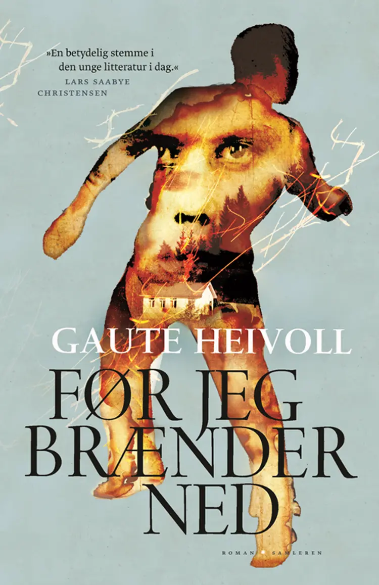 Før jeg brænder ned af Gaute Heivoll