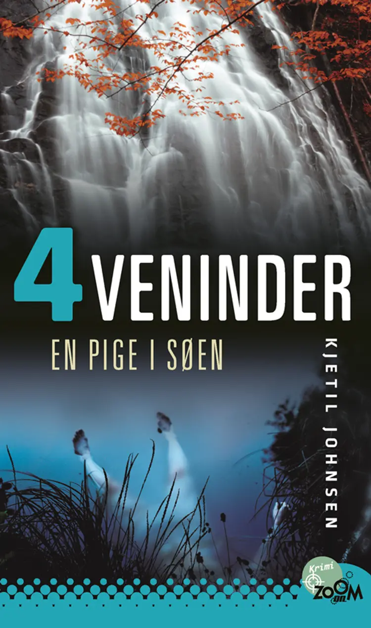 En pige i søen af Kjetil Johnsen