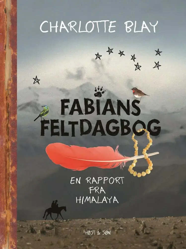 Fabians Feltdagbog af Charlotte Blay
