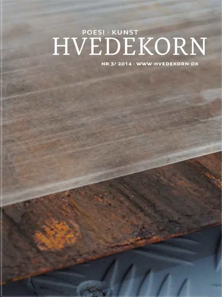Hvedekorn af Lars Bukdahl