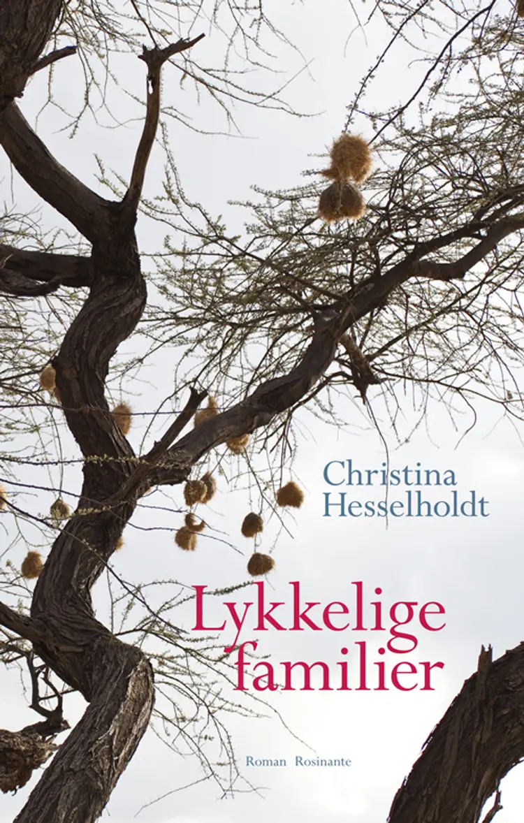 Lykkelige familier af Christina Hesselholdt