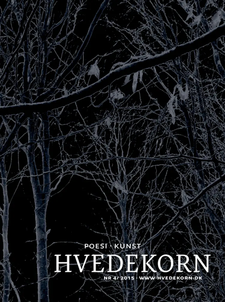 Hvedekorn nr. 4 af Lars Bukdahl