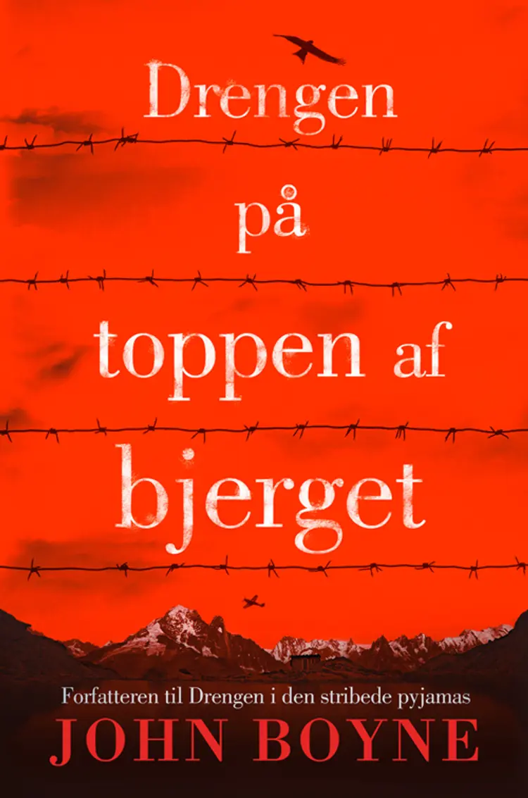 Drengen på toppen af bjerget af John Boyne