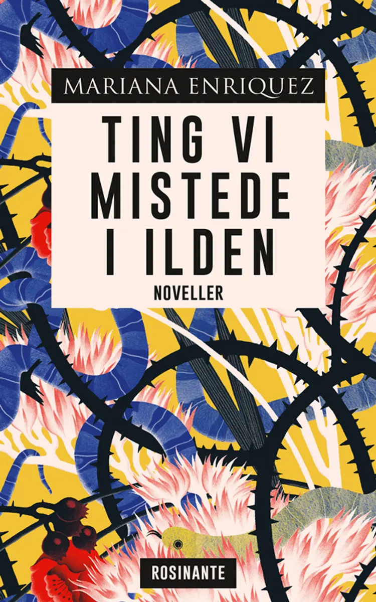 Ting vi mistede i ilden af Mariana Enriquez