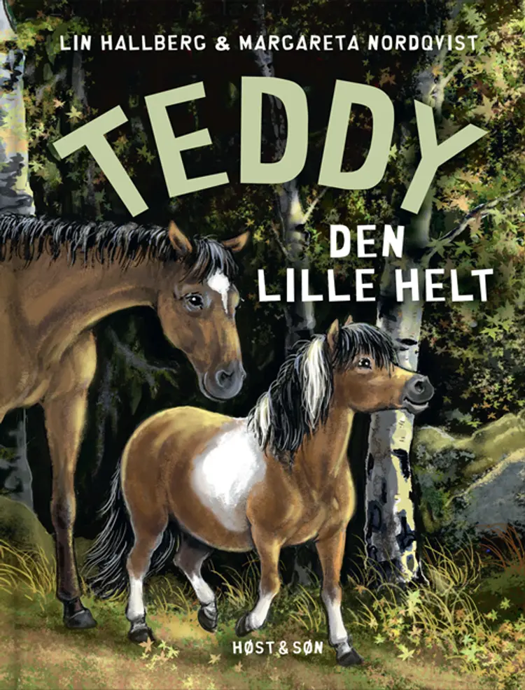 Teddy - den lille helt af Lin Hallberg