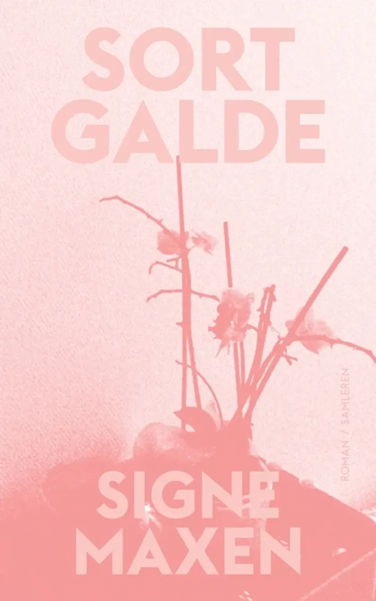 Sort galde af Signe Maxen