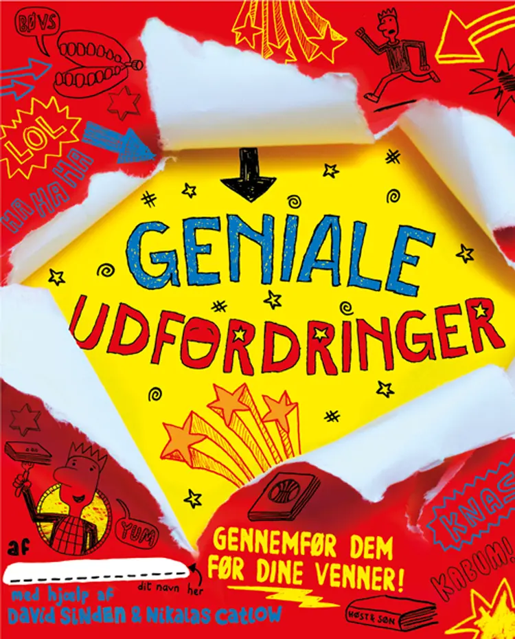 Geniale udfordringer af David Sinden
