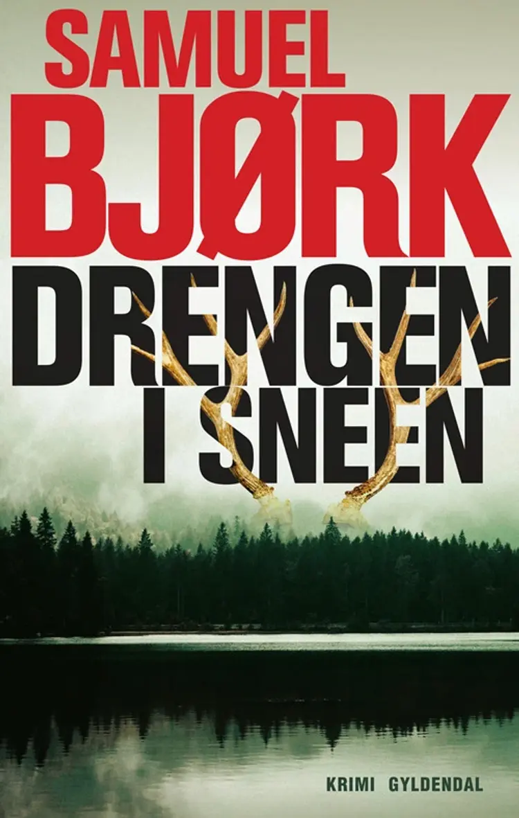 Drengen i sneen af Jan Christensen