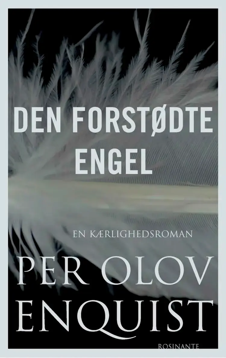 Den forstødte engel af Ida Balslev-Olesen