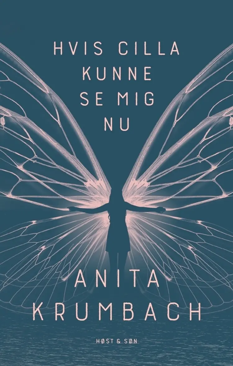 Hvis Cilla kunne se mig nu af Jan Christensen
