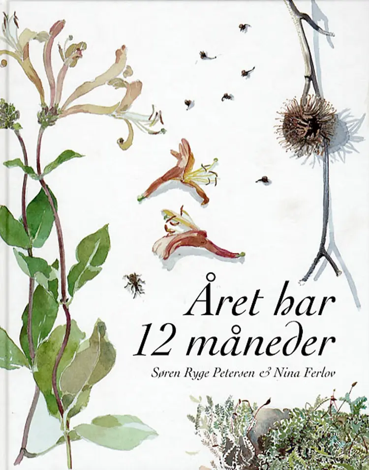 Året har 12 måneder af Søren Ryge Petersen