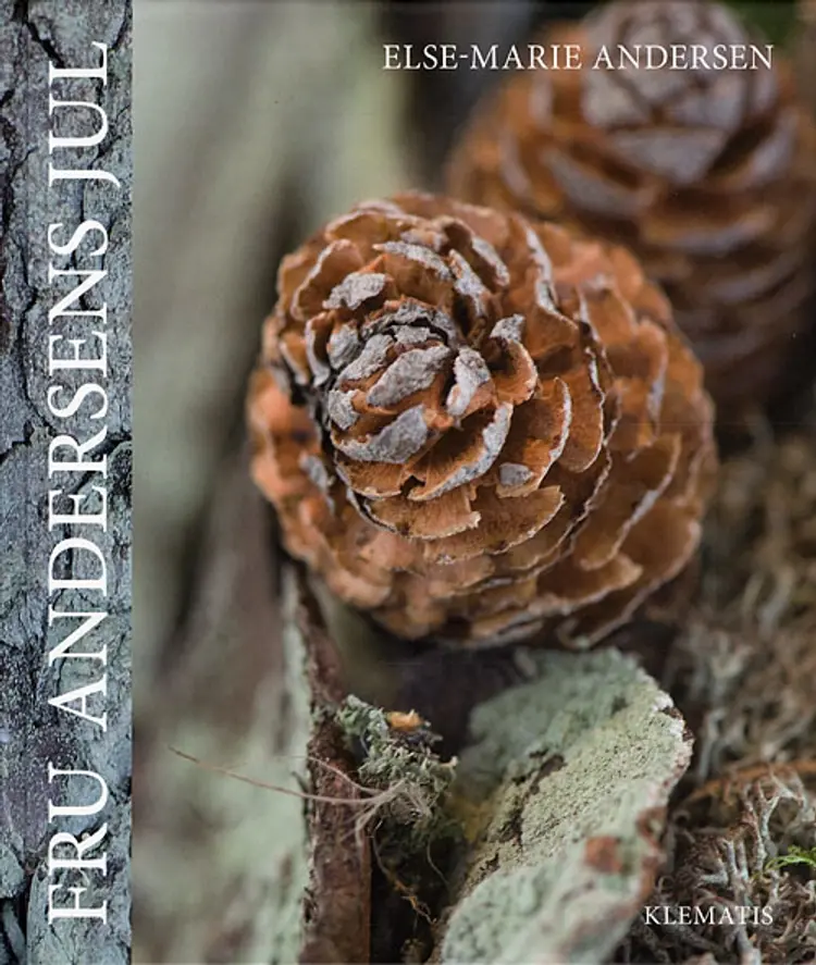 Fru Andersens jul af Else-Marie Andersen