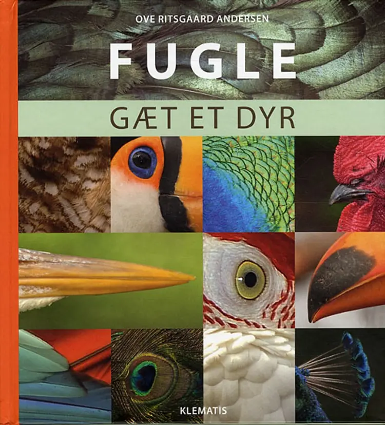 Fugle af Ove Ritsgaard Andersen