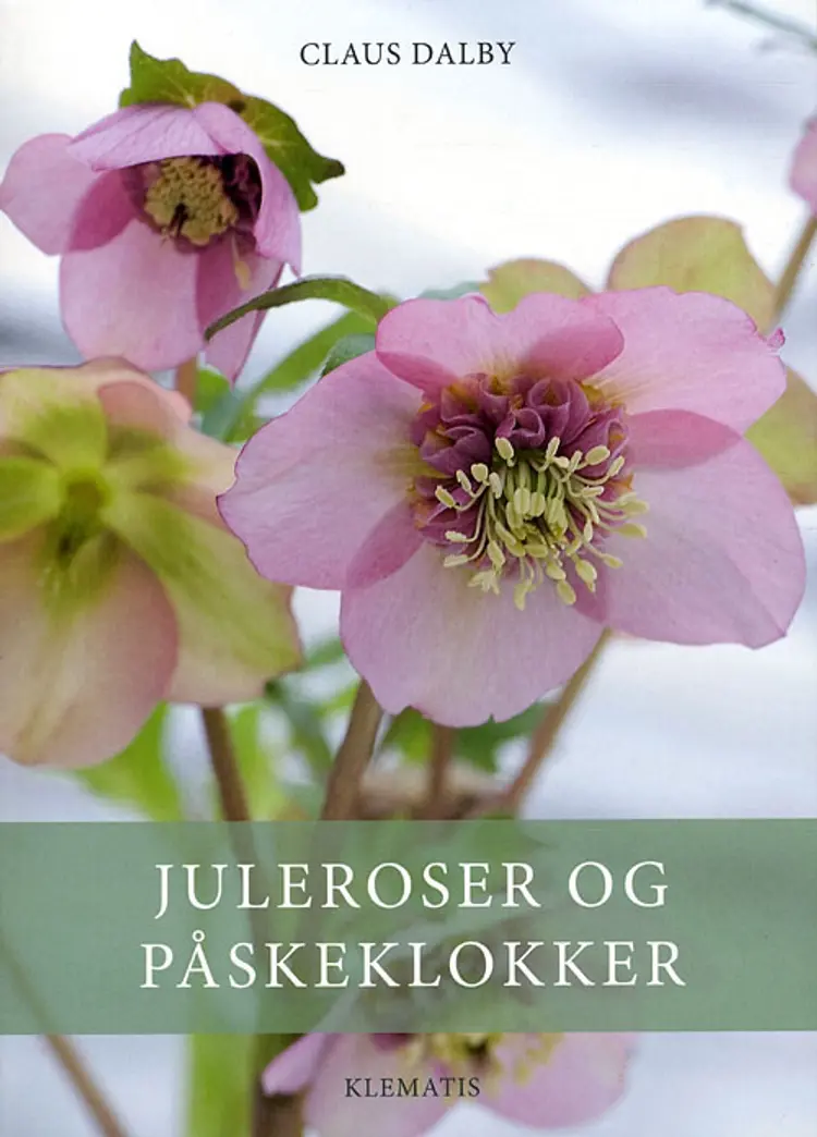 Juleroser og påskeklokker af Claus Dalby