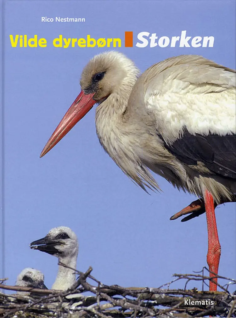 Storken af Rico Nestmann