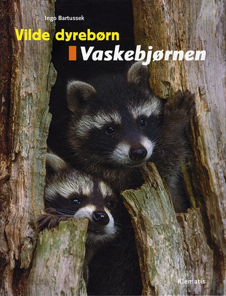 Vaskebjørnen af Ingo Bartussek