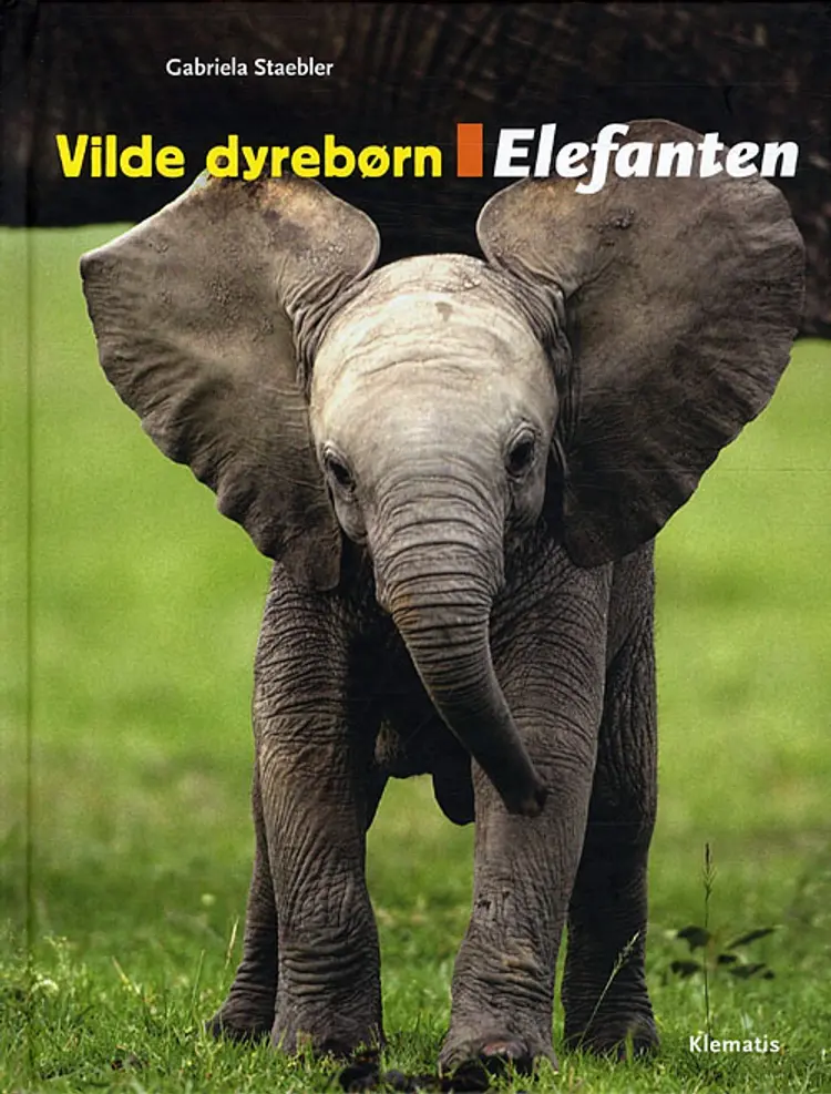 Elefanten af Gabriela Staebler