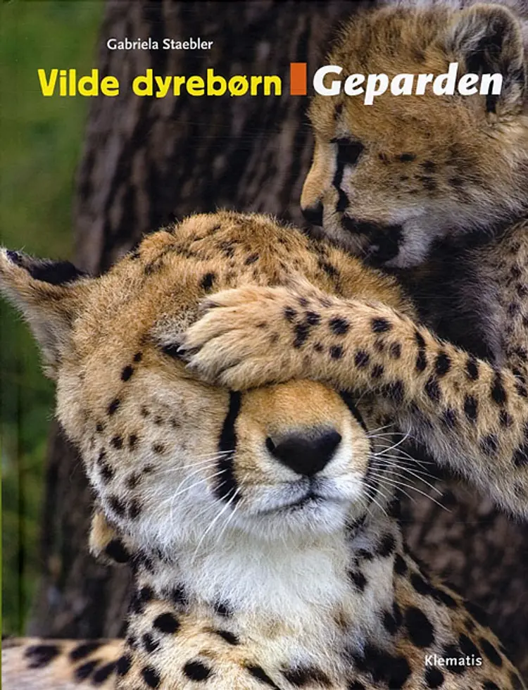 Geparden af Gabriela Staebler