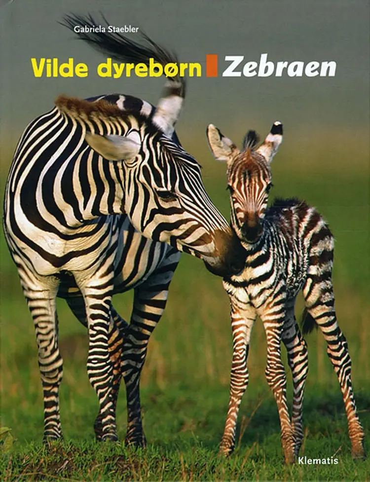 Zebraen af Gabriela Staebler