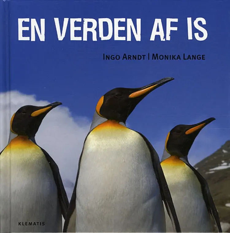 En verden af is af Monika Lange