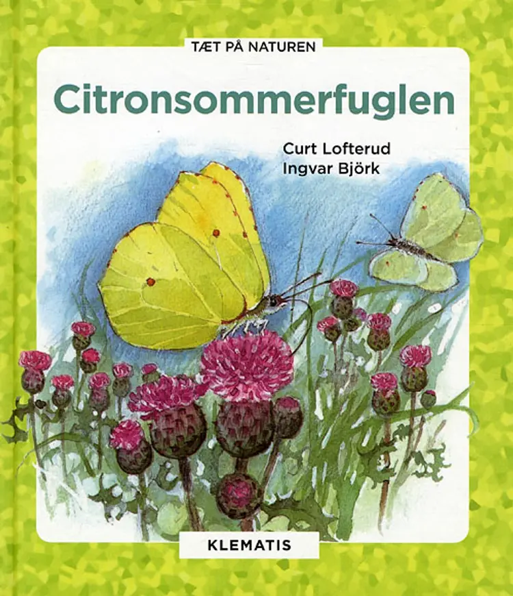 Citronsommerfuglen af Curt Lofterud