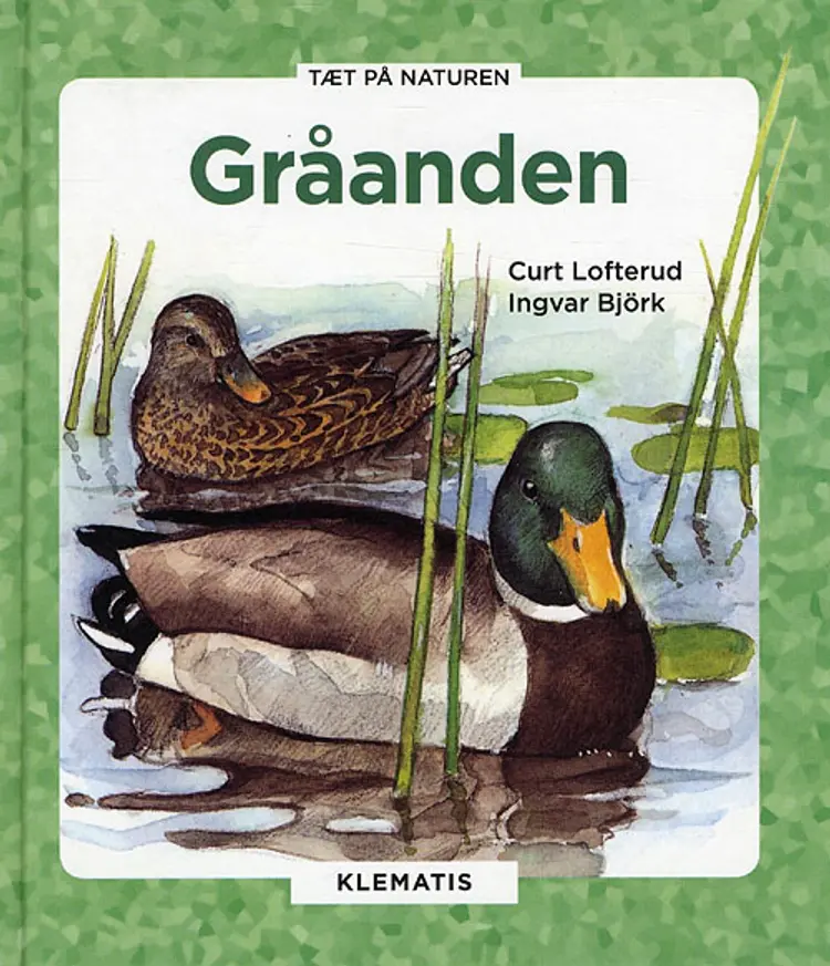 Gråanden af Curt Lofterud