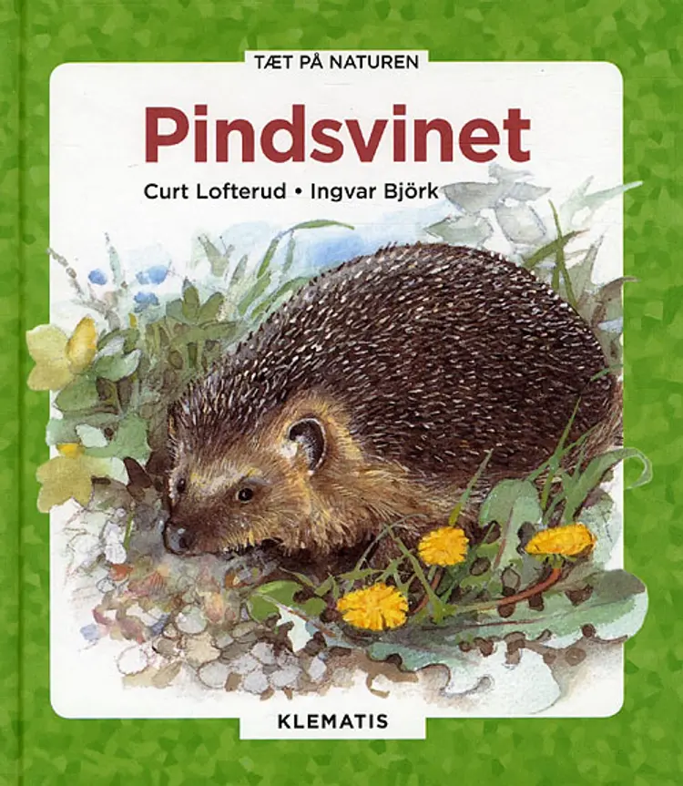 Pindsvinet af Curt Lofterud