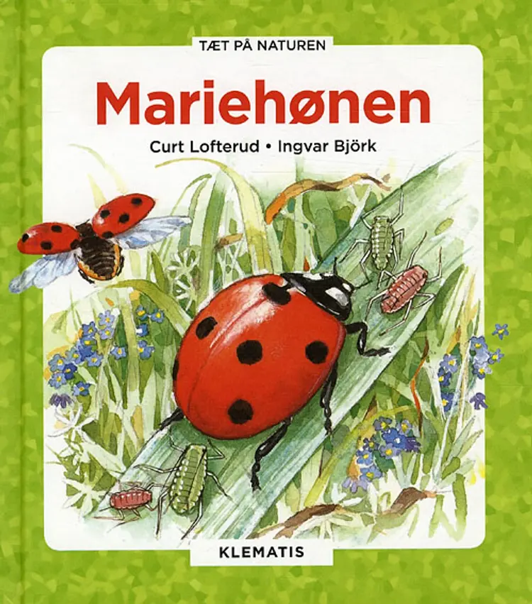 Mariehønen af Curt Lofterud