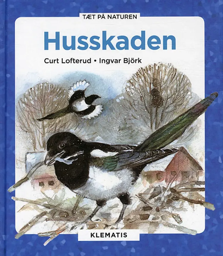 Husskaden af Curt Lofterud