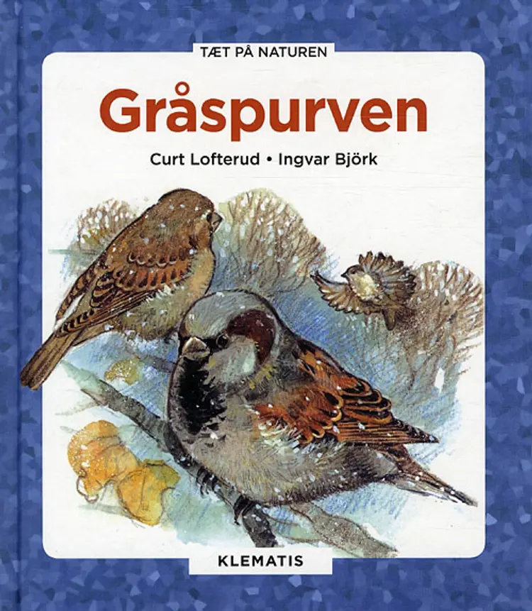 Gråspurven af Curt Lofterud