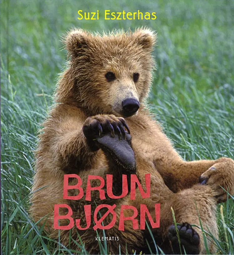 Brun bjørn af Suzi Eszterhas