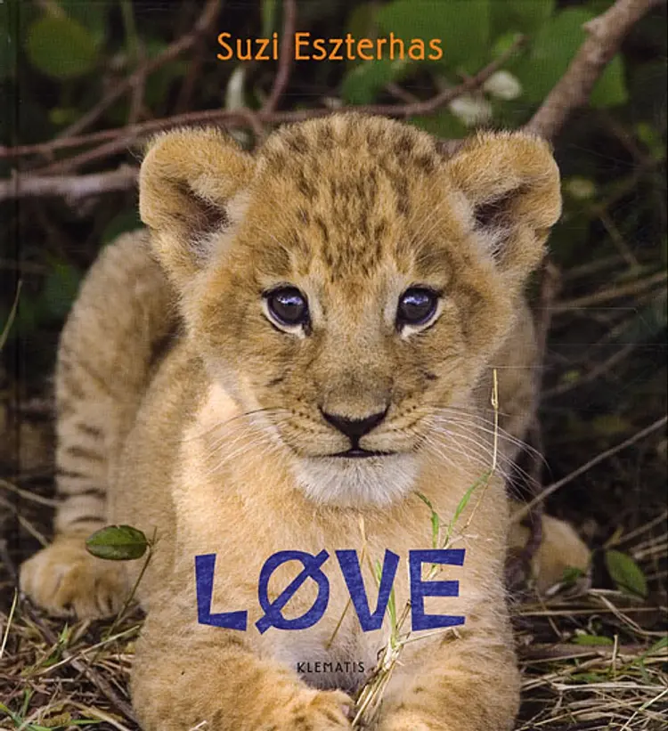 Løve af Suzi Eszterhas