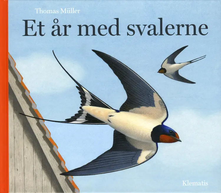 Et år med svalerne af Thomas Müller