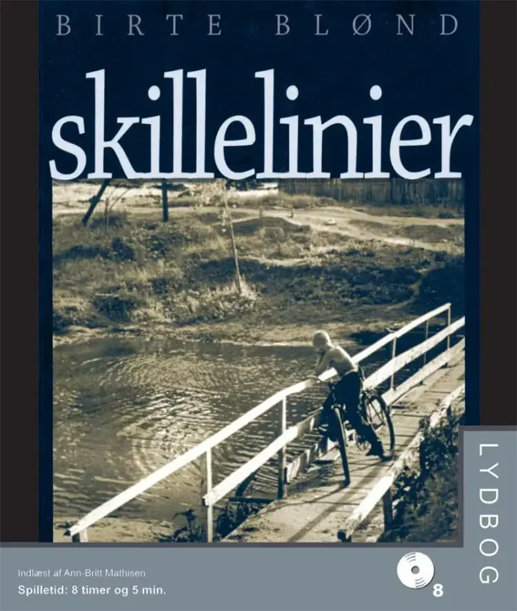 Skillelinier af Birthe Blønd