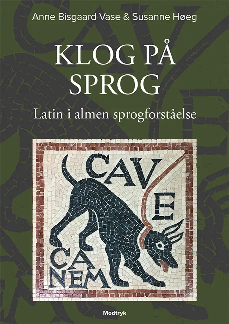 Klog på sprog af Anne Bisgaard Vase