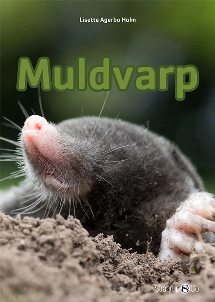 Muldvarp af Lisette Agerbo Holm