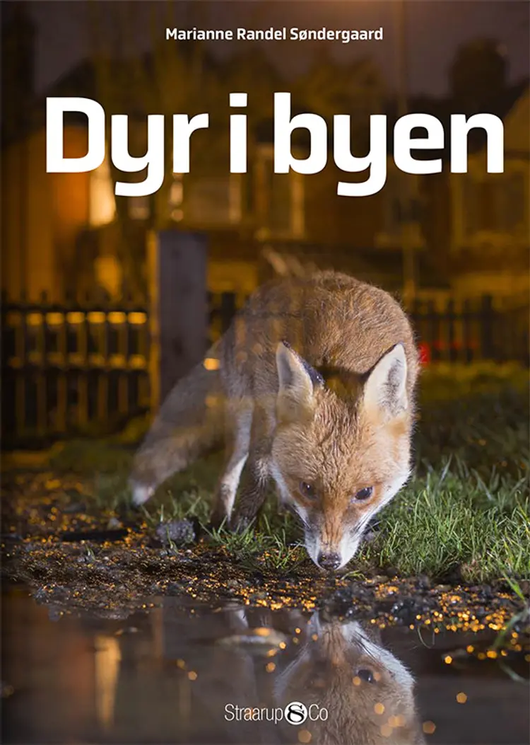 Dyr i byen af Marianne Randel Søndergaard