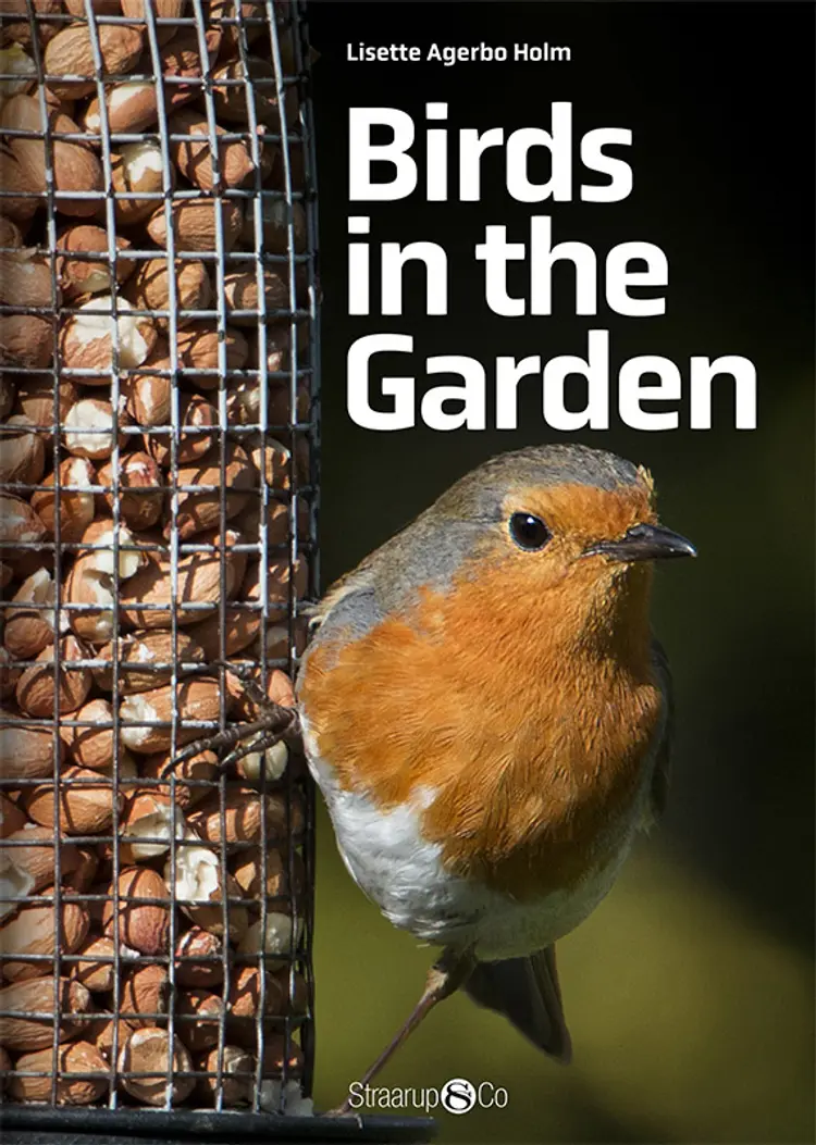 Birds in the Garden af Lisette Agerbo Holm