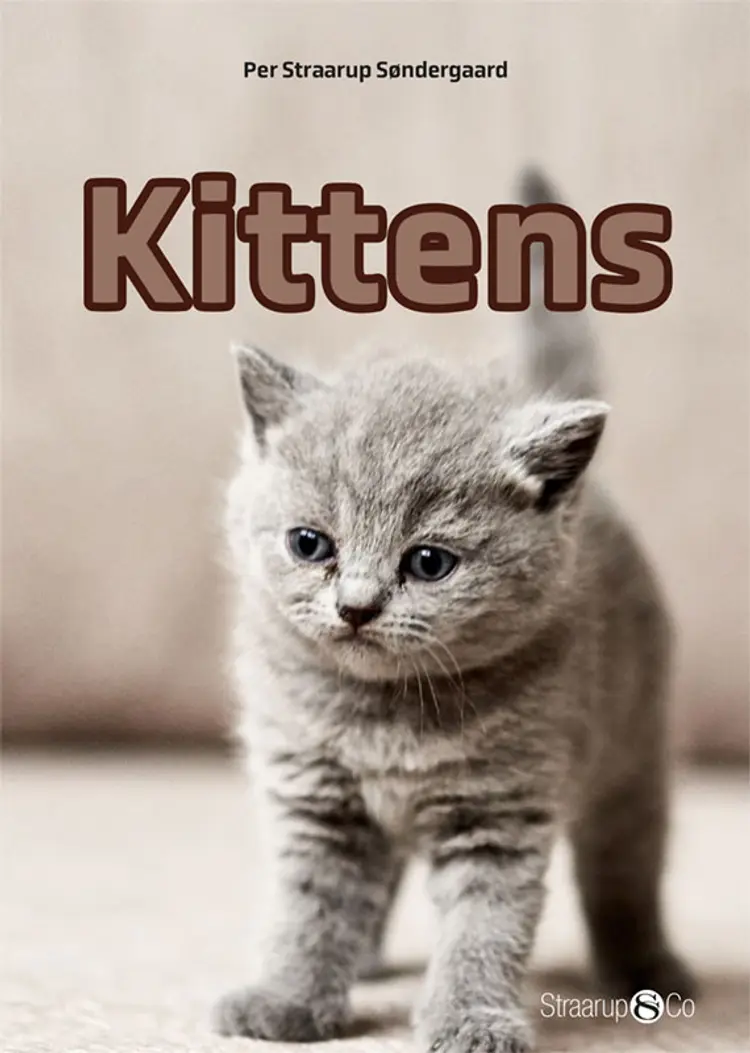 Kittens af Per Straarup Søndergaard