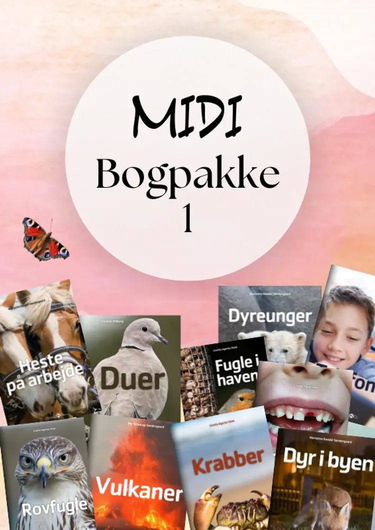 Midi Bogpakke 1