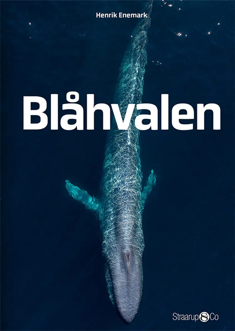 Blåhvalen af Henrik Enemark