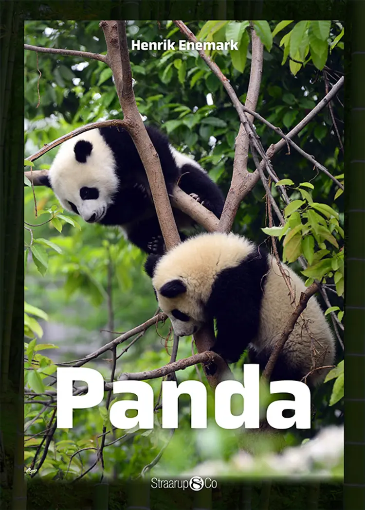 Panda af Henrik Enemark