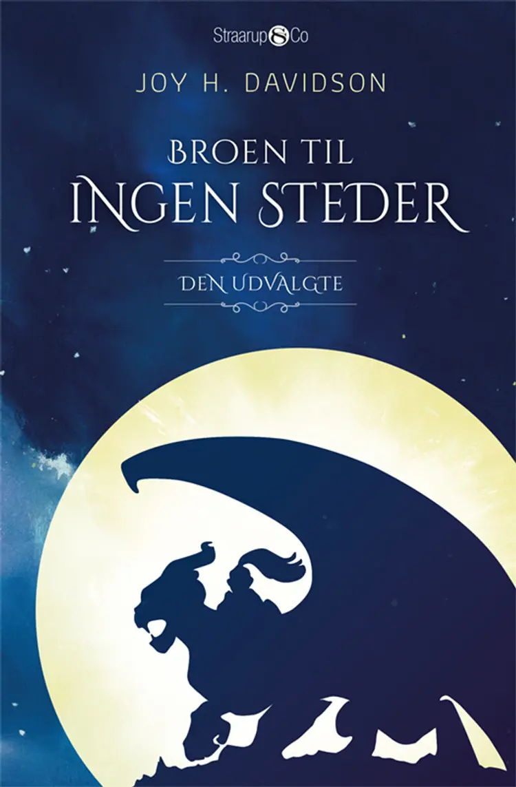 Broen til Ingen Steder af Joy H. Davidson
