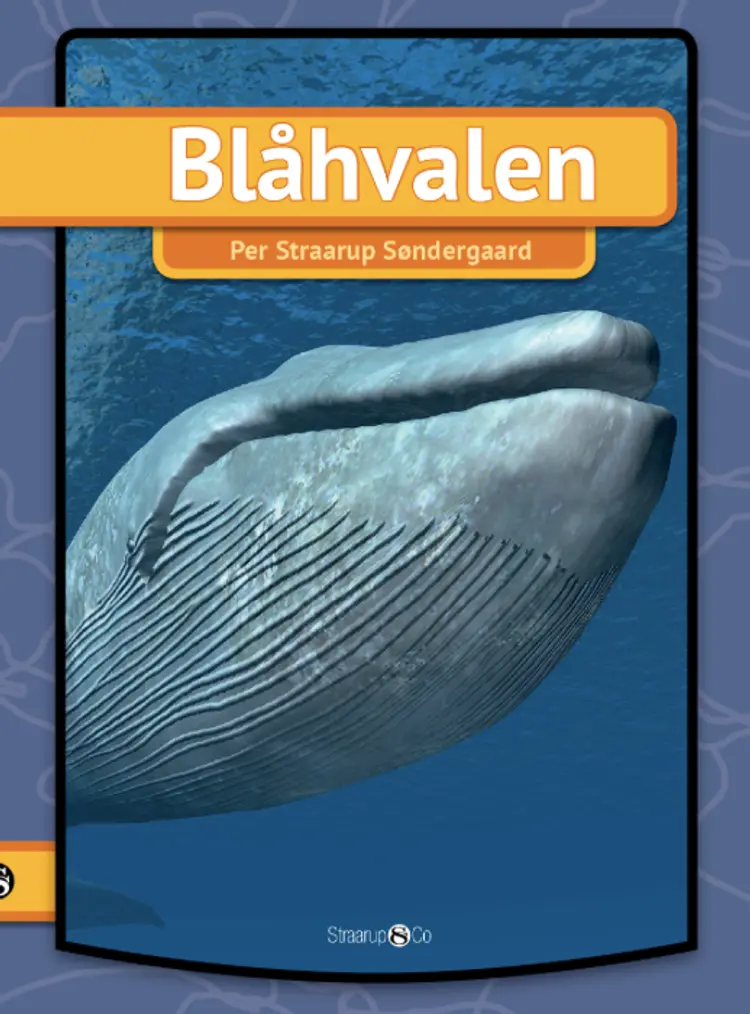 Blåhvalen af Per Straarup Søndergaard