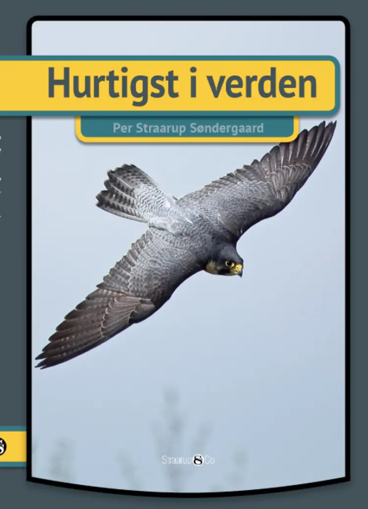 Hurtigst i verden af Per Straarup Søndergaard