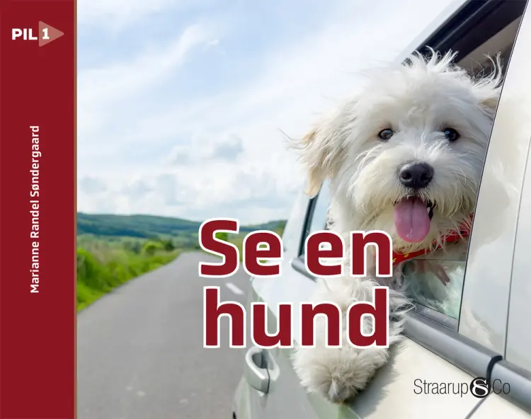 Se en hund (norsk) af Marianne Randel Søndergaard