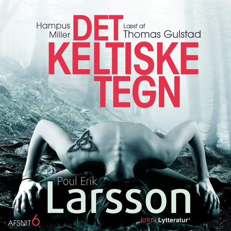 Hampus Miller: Det keltiske tegn 6 af Poul Erik Larsson