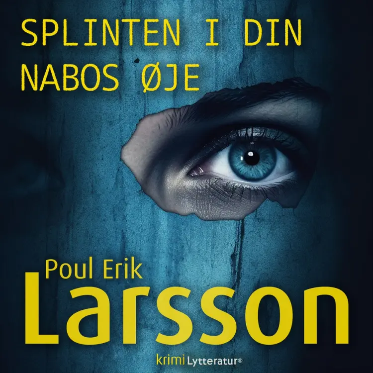Splinten i din nabos øje af Poul Erik Larsson