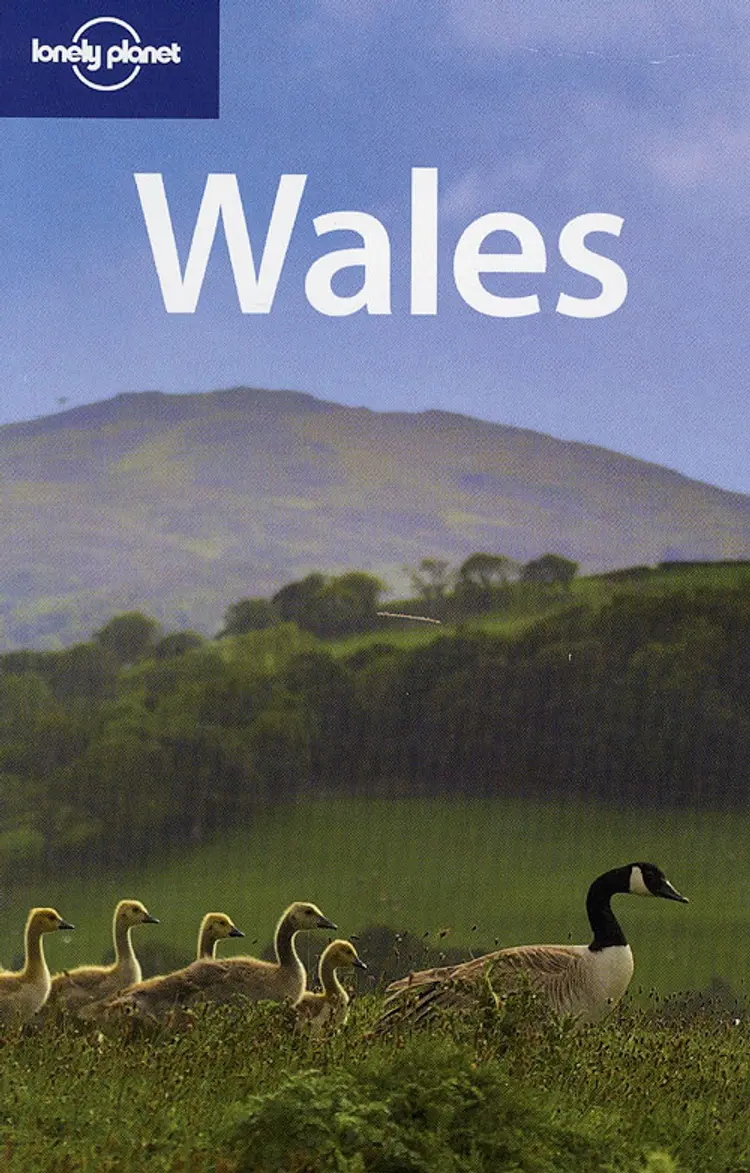 Wales af Neil Wilson
